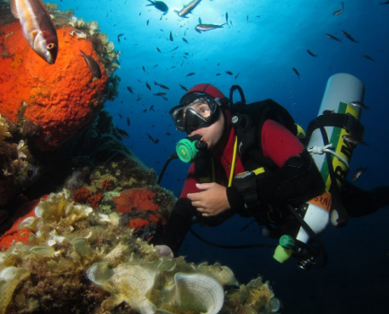 Plongée sous-marine Plongée en laiton O-Ring Pioche Outil 3pcs 