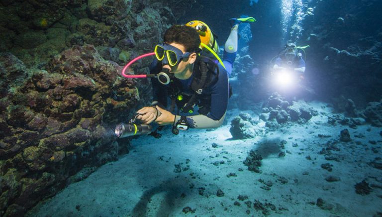 Boîte à Outils De Plongée Sous-marine - Pour Entretien Cotes Et Extrémités, Neuf